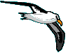 Benutzeravatar